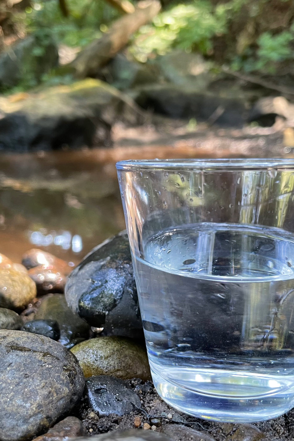 Pristine Water Filtration Straw