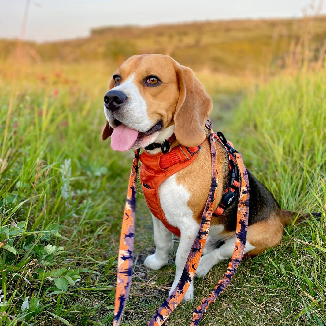 Ranger All-Mountain Dog Leash -  Orange Camo - Rocky Mountain