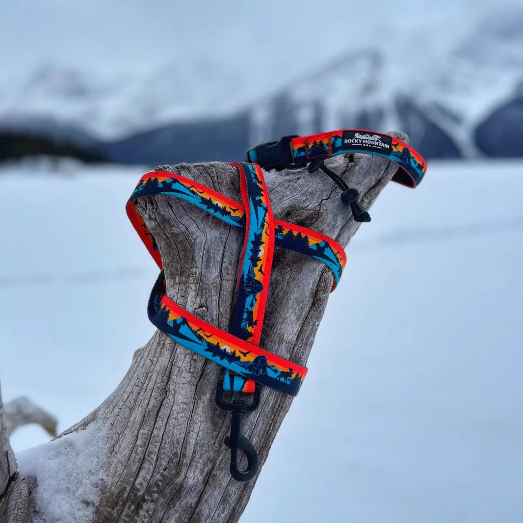 Banff All-Mountain Dog Leash - Rocky Mountain