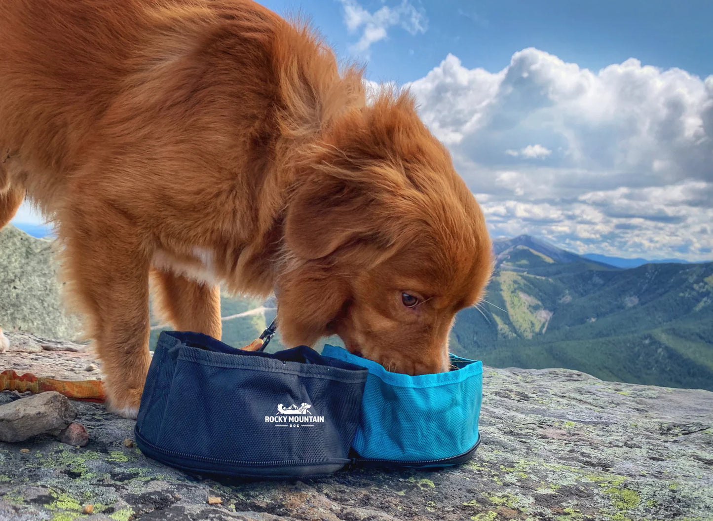 Collapsible Dog Travel Bowl - Rocky Mountain