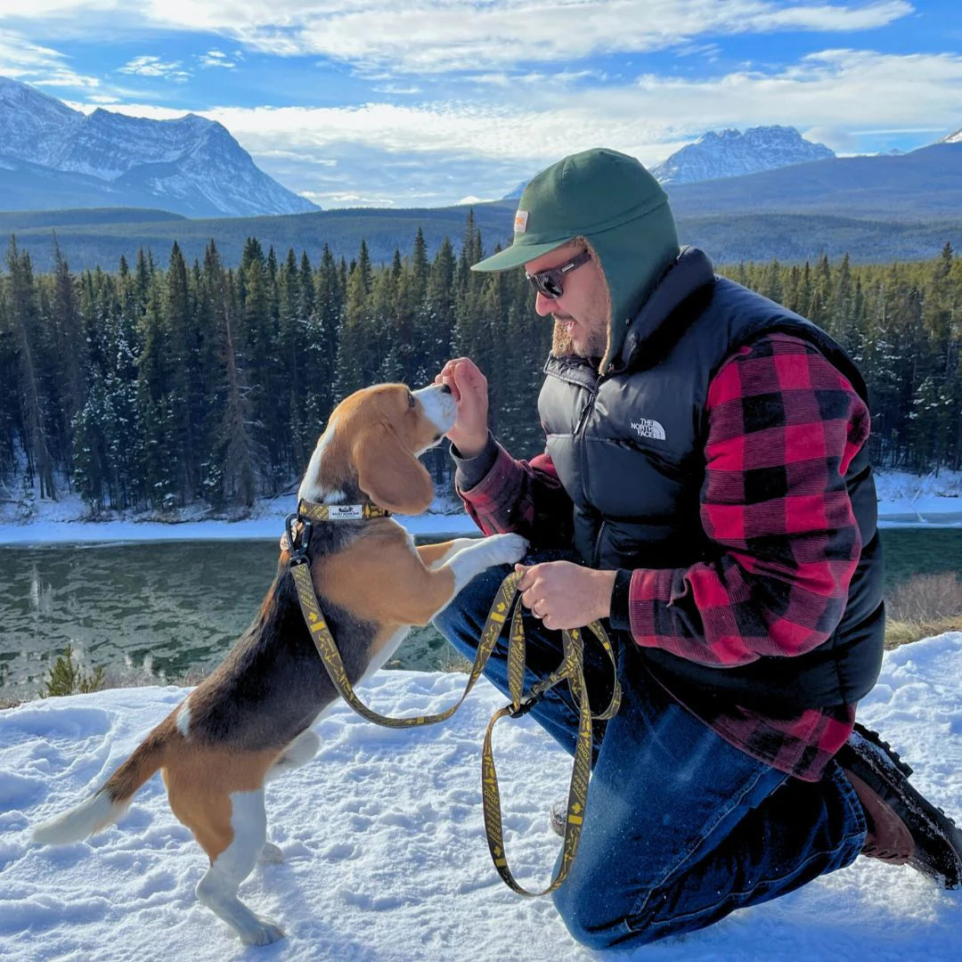 Canadian Rockies Dog Collar - Rocky Mountain